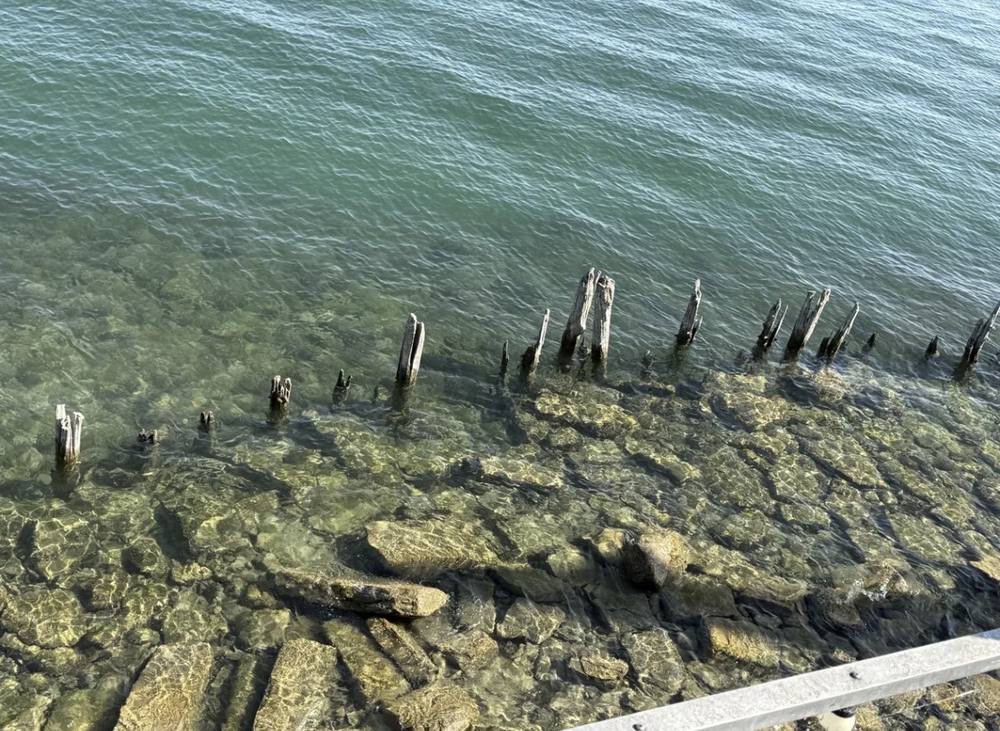 Glasklares Wasser am Bodensee