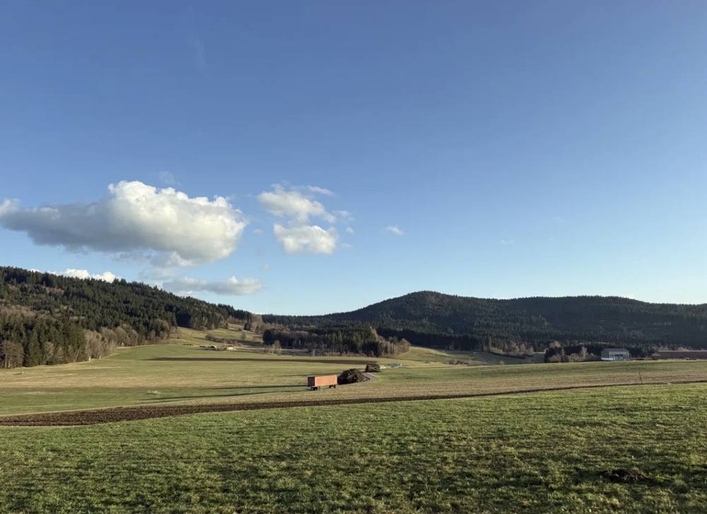 Wiesen bei Bärnzell
